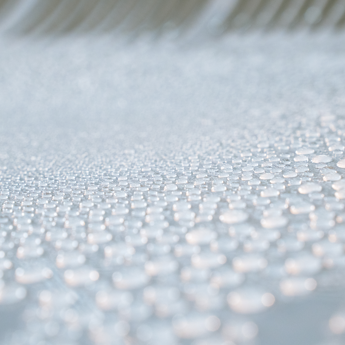 IDROSAVE - Polymer rinseless wash with nano sealant