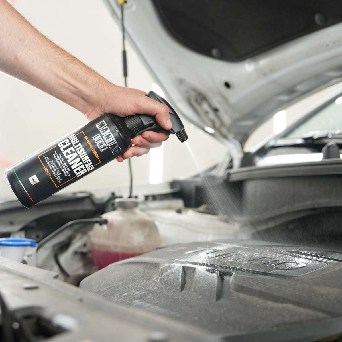 MULTISURFACE CLEANER - For interiors and exteriors