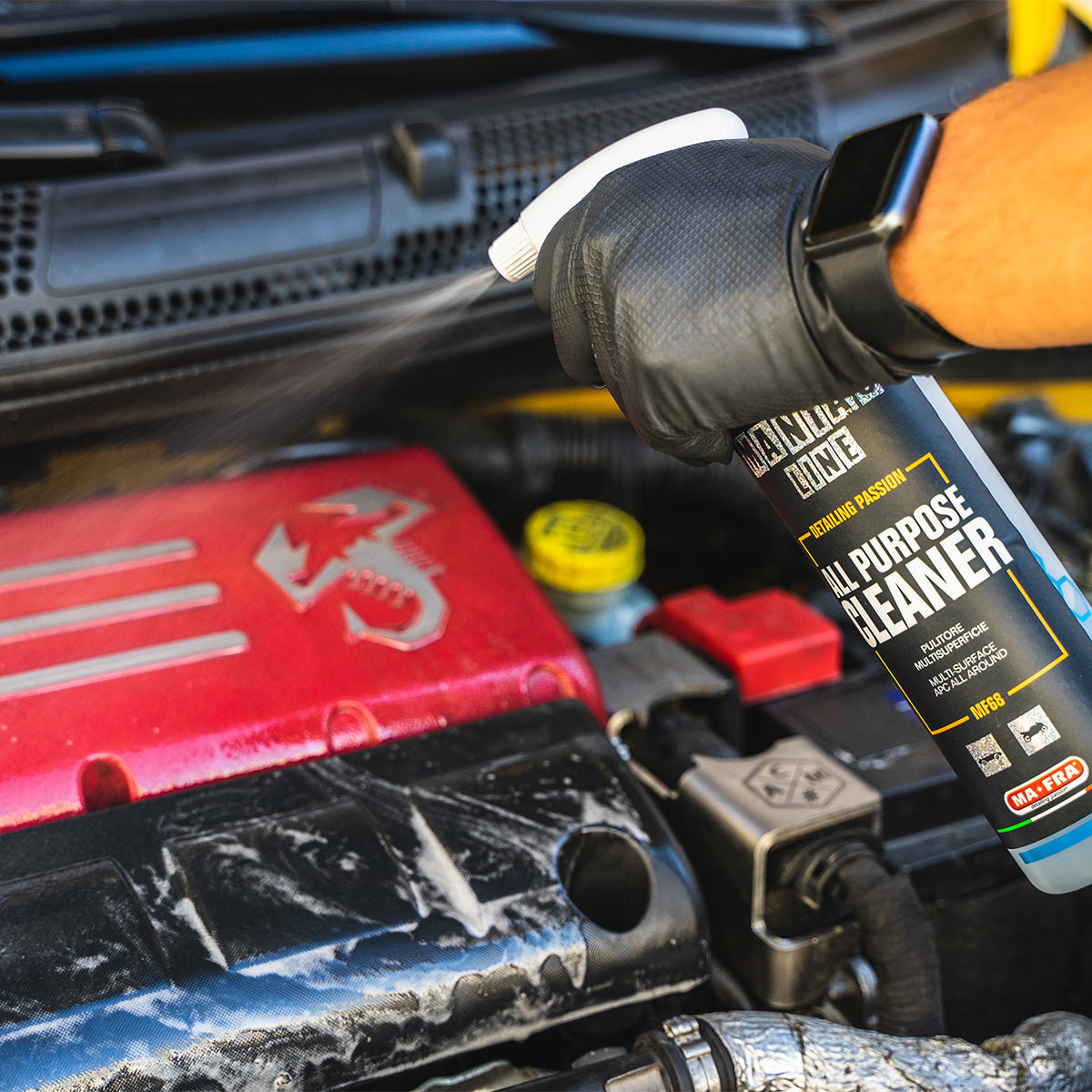 ALL PURPOSE CLEANER - Multi surface cleaner