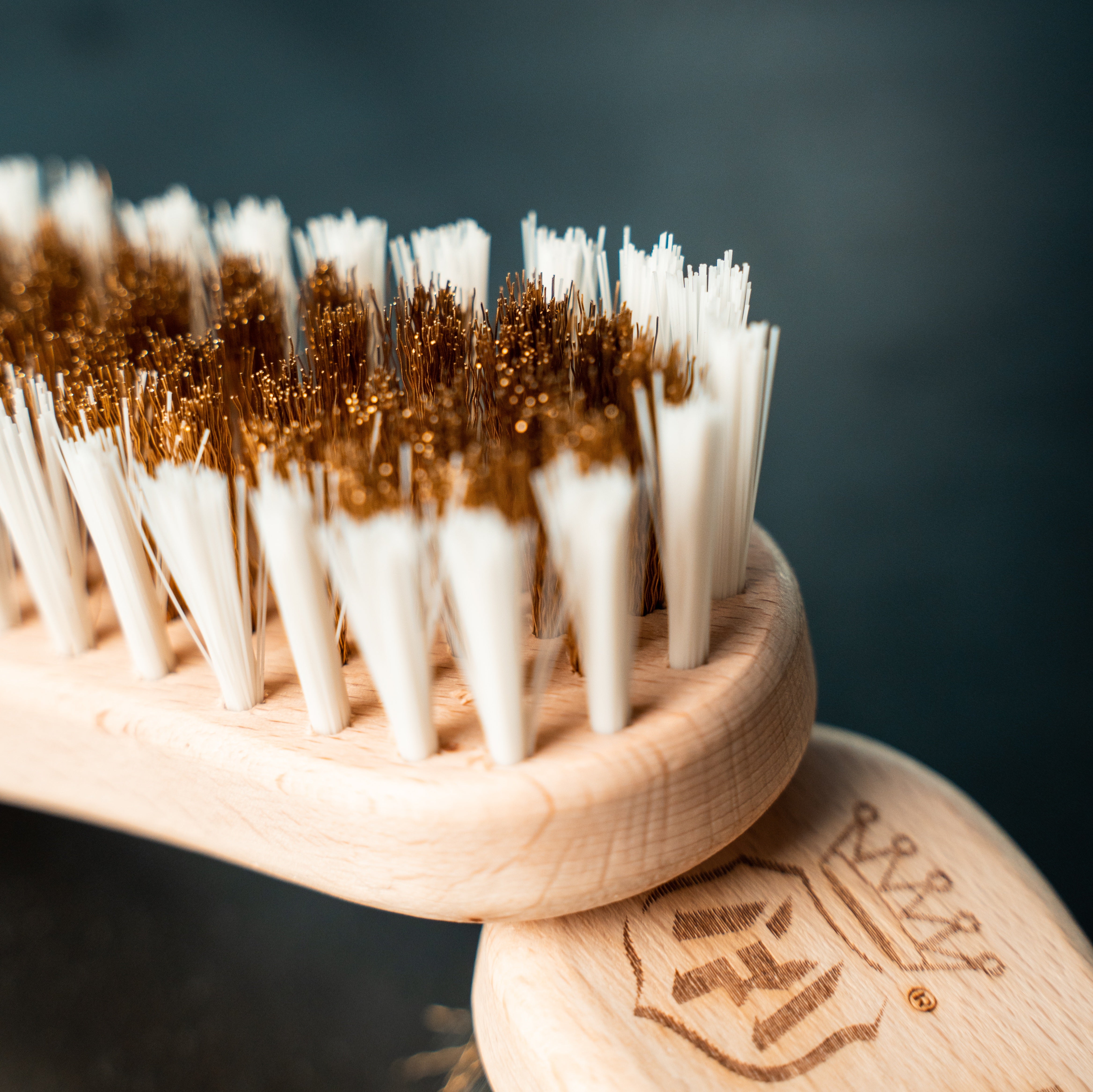 BROSSE POUR TAPIS - Système 2ph