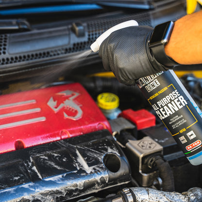 ALL PURPOSE CLEANER - Multi surface cleaner