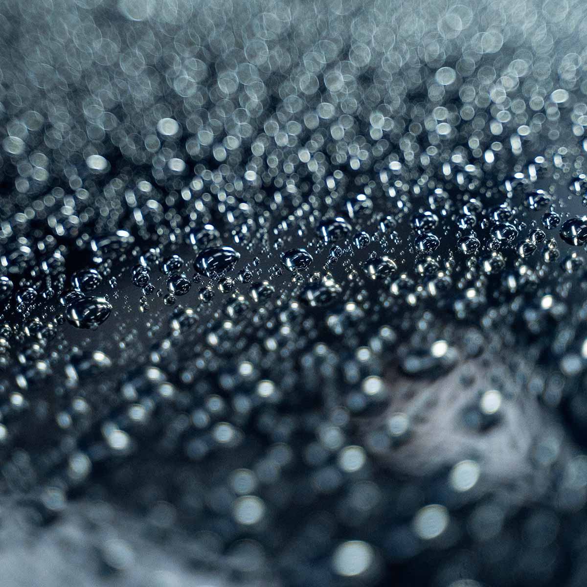 REVITAX - Shampoing avec protection scellant