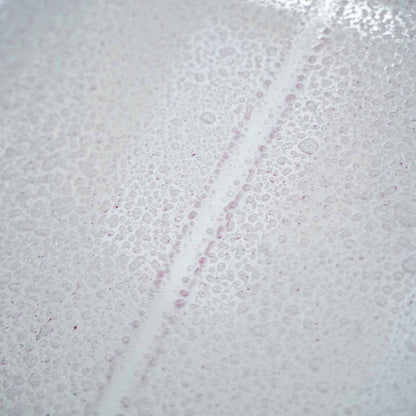 SIDERO - Gel décontaminant ferreux